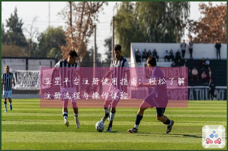 亚星平台注册使用指南：轻松了解注册流程与操作体验