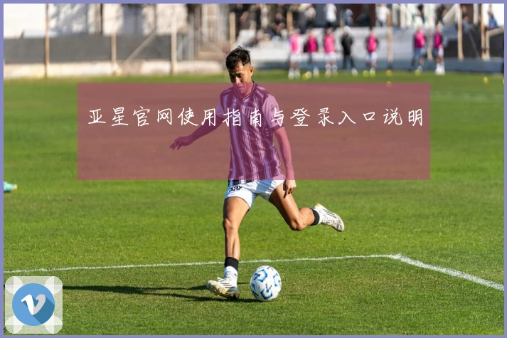 亚星官网使用指南与登录入口说明