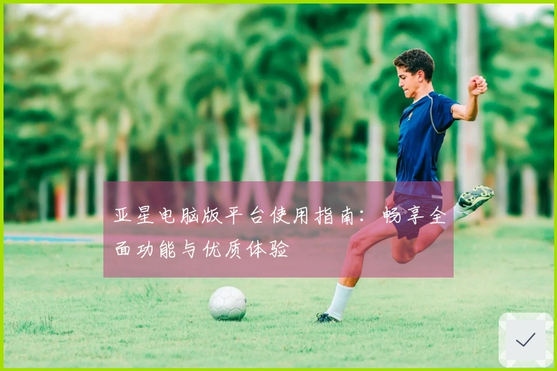 亚星电脑版平台使用指南：畅享全面功能与优质体验
